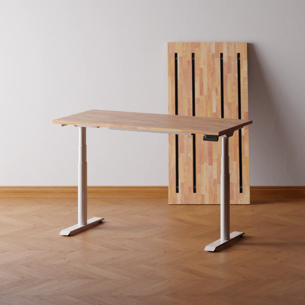 Modular Electric Standing Desk-Dual-Motor Height-Adjustable