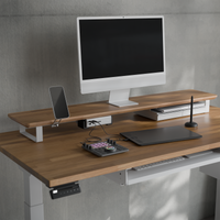 Wood desk shelf with iMac and organiser tray