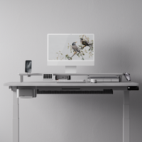 Matte desk shelf minimalist setup