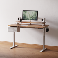 Standing desk fully built out with monitor riser, speakers and drawer